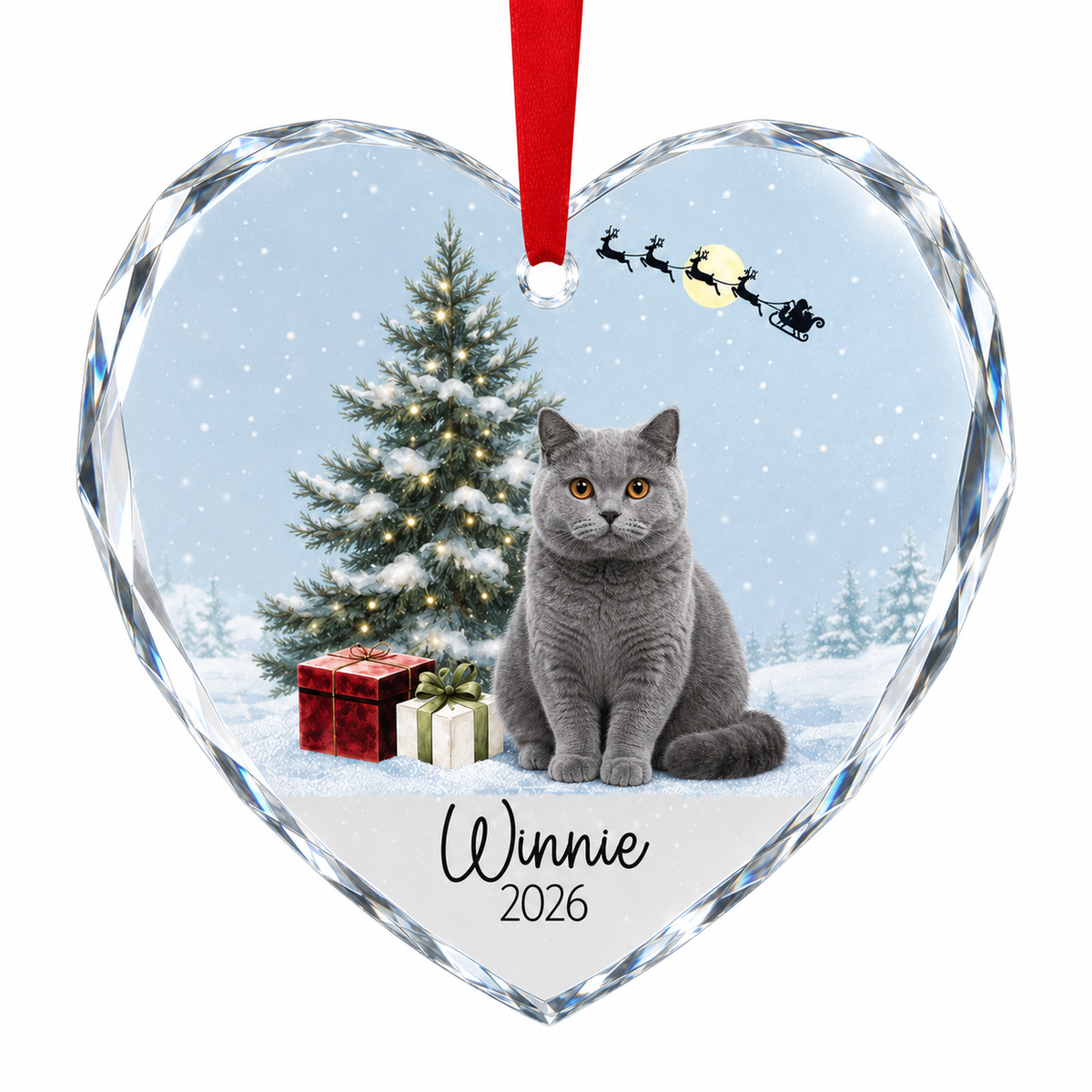 Custom Photo cat style 19