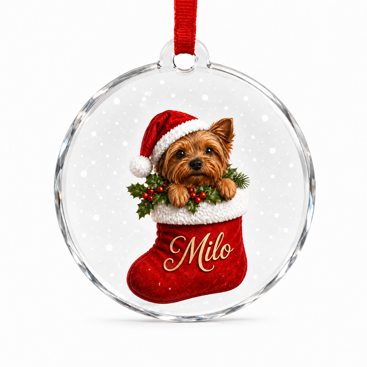 Custom Photo Dog With Christmas Sock
