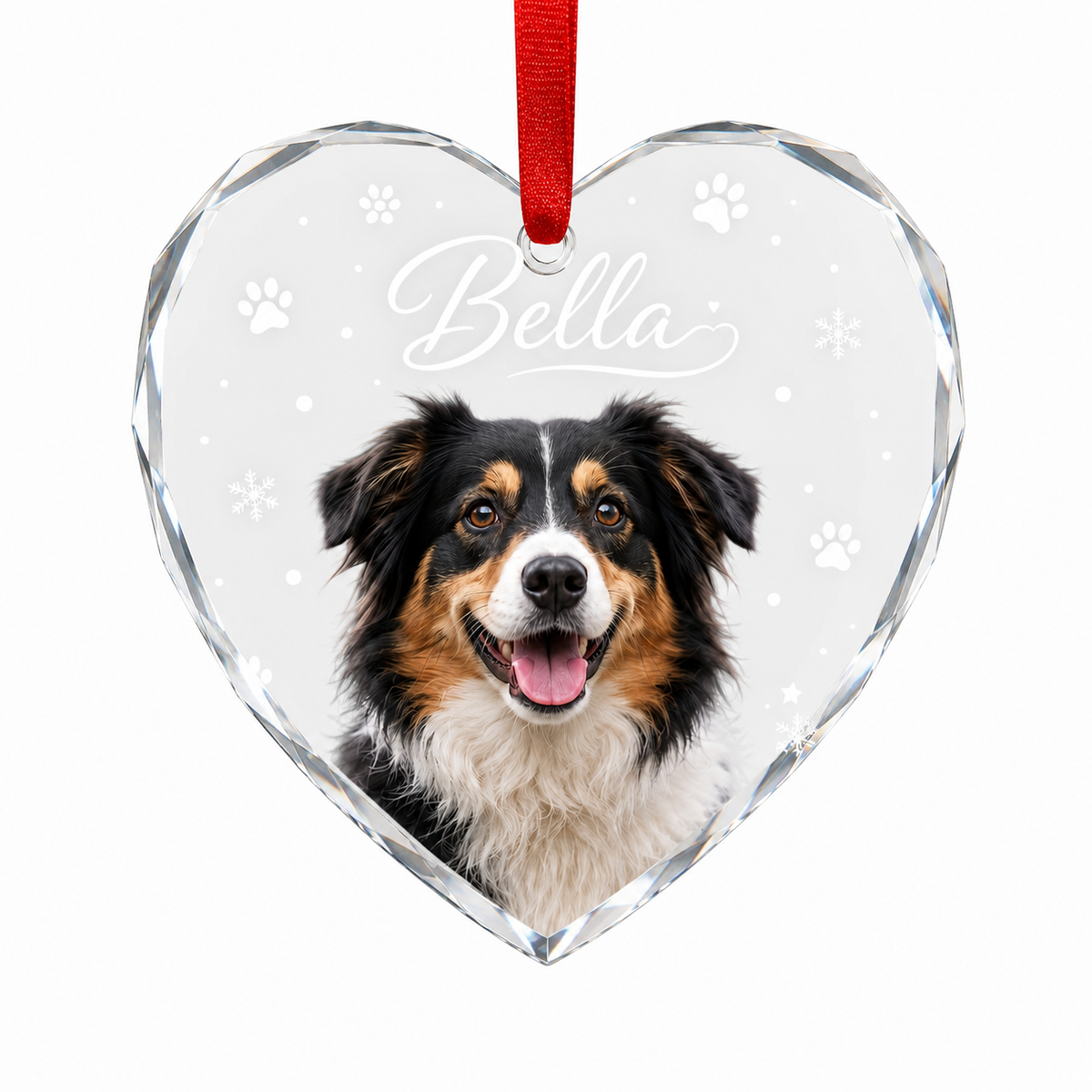 Custom Photo Pet Style 2