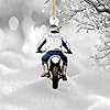 Personalized Dirt Bike Christmas Ornaments 2025 Custom Motocross Ornament Dirt bike Christmas Ornament N37