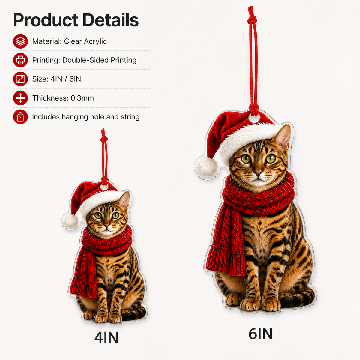 Noel Cat Bengal Cat