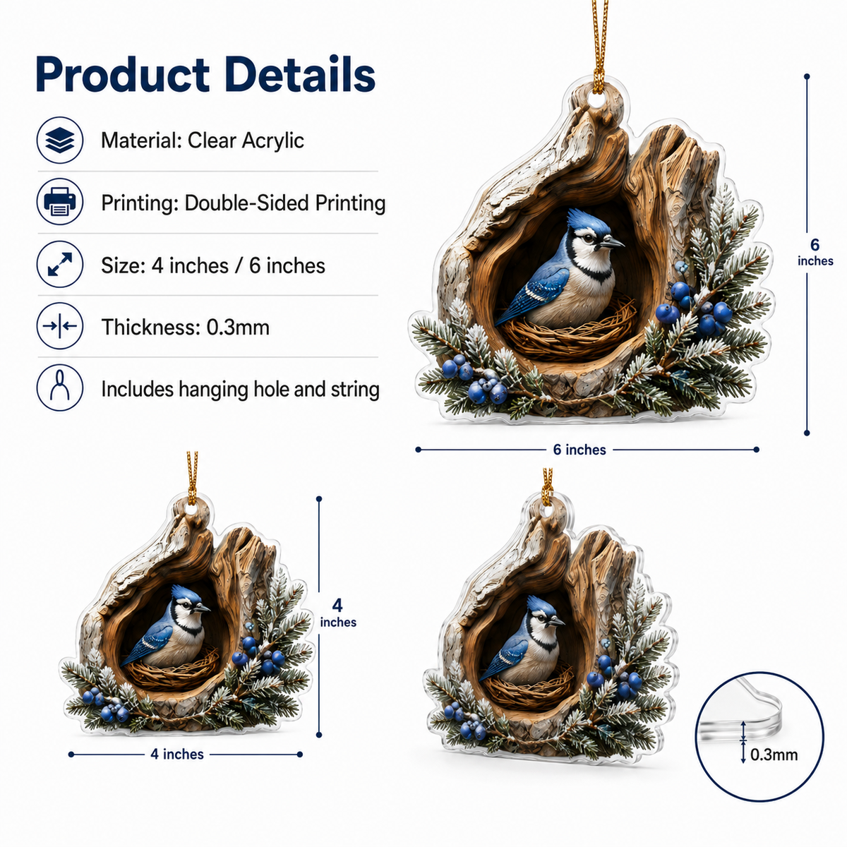 Flying Animals Blue Jay
