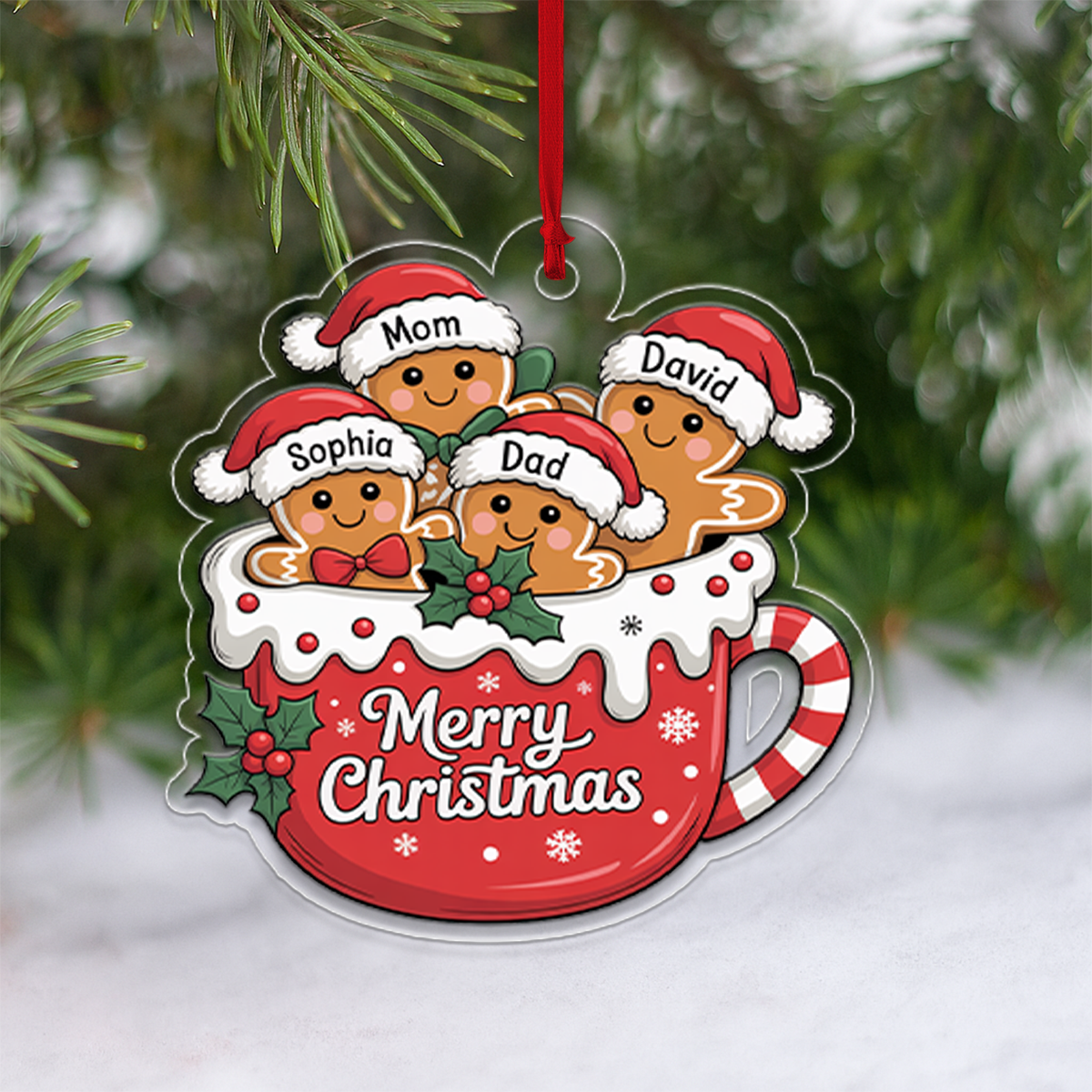 Custom Family Ornament5