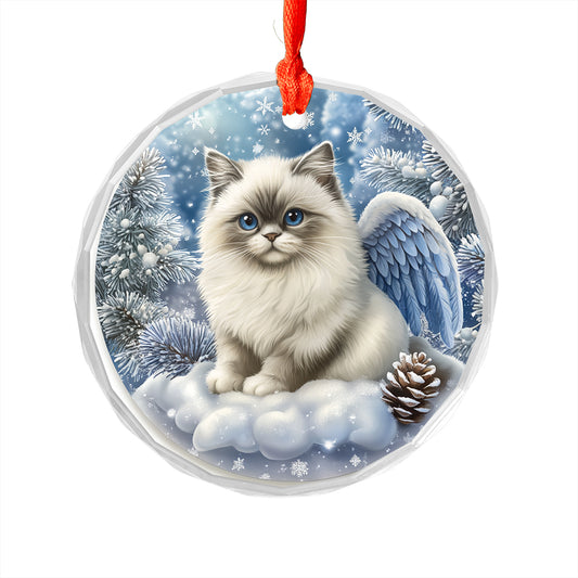 Angel Himalayan Cat 1