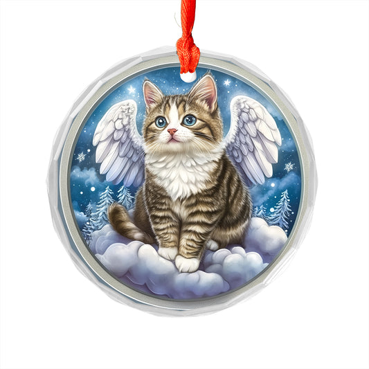 Angel American Shorthair Cat 1