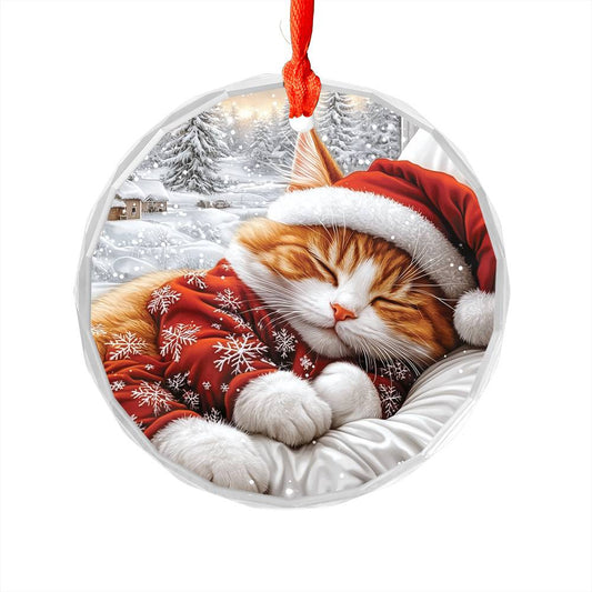 Ragdoll cat Sleeping In Bed Design 1