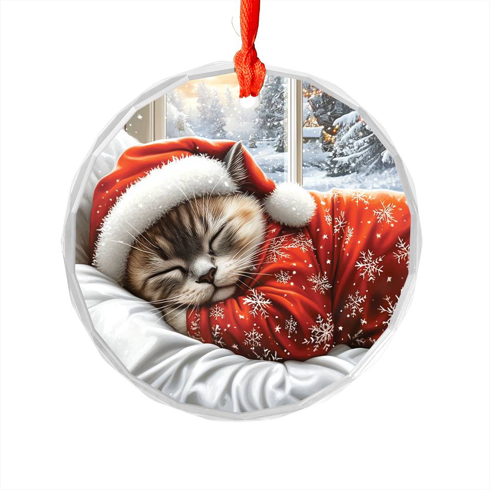 Siamese cat Sleeping In Bed Design 3