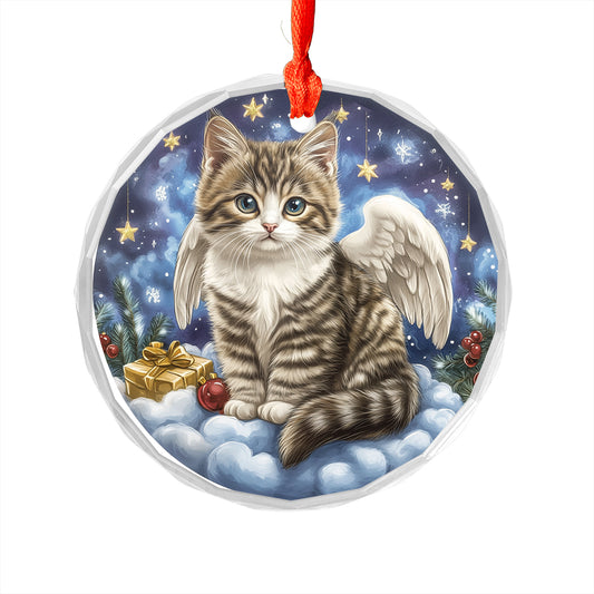 Angel American Shorthair Cat 2