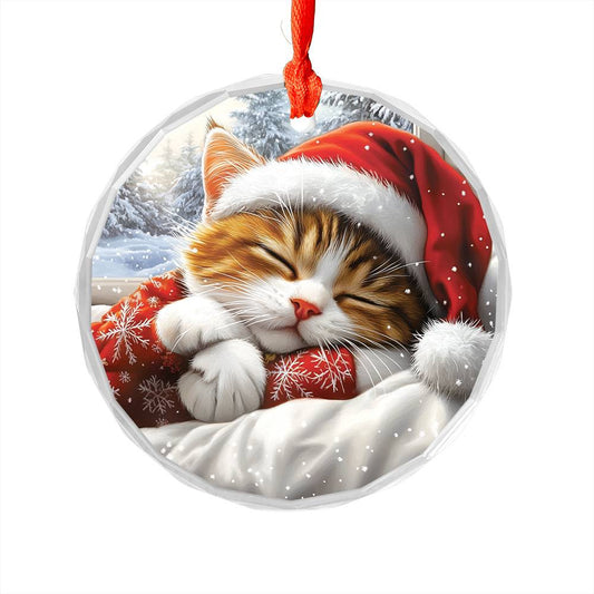 Persian cat Sleeping In Bed Design 3