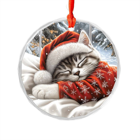 Siamese cat Sleeping In Bed Design 2