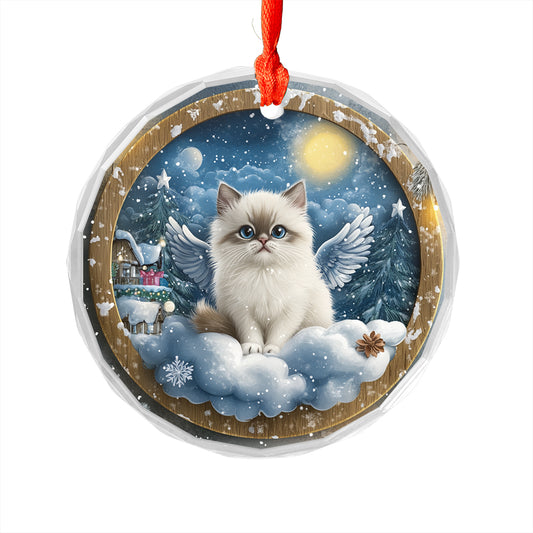 Angel Himalayan Cat 2