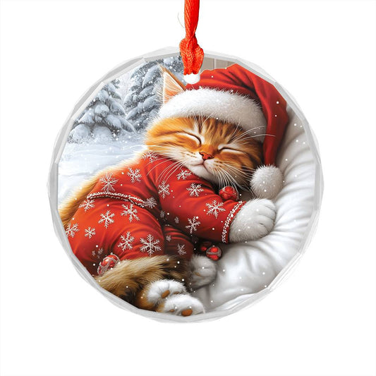 Persian cat Sleeping In Bed Design 2