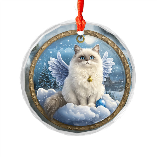 Angel Himalayan Cat 3