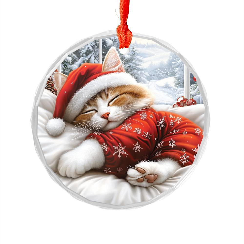 Ragdoll cat Sleeping In Bed Design 2