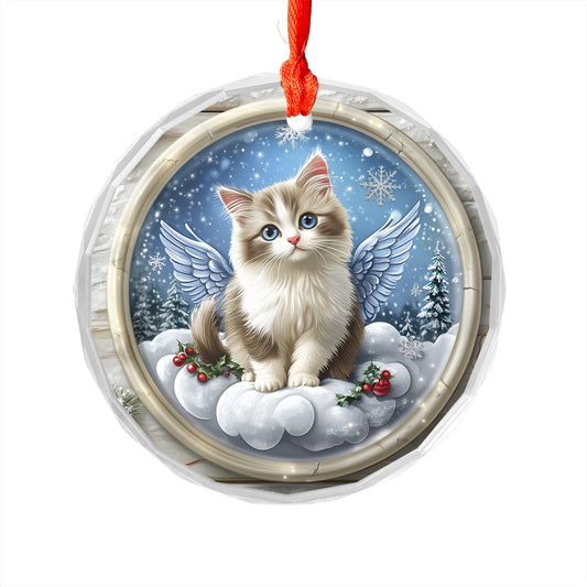 Angel Ragdoll Cat 2