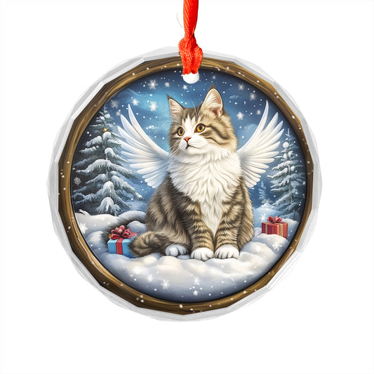 Angel Siberian Cat 3