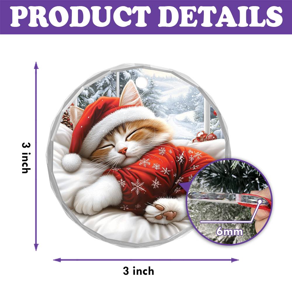 Ragdoll cat Sleeping In Bed Design 2