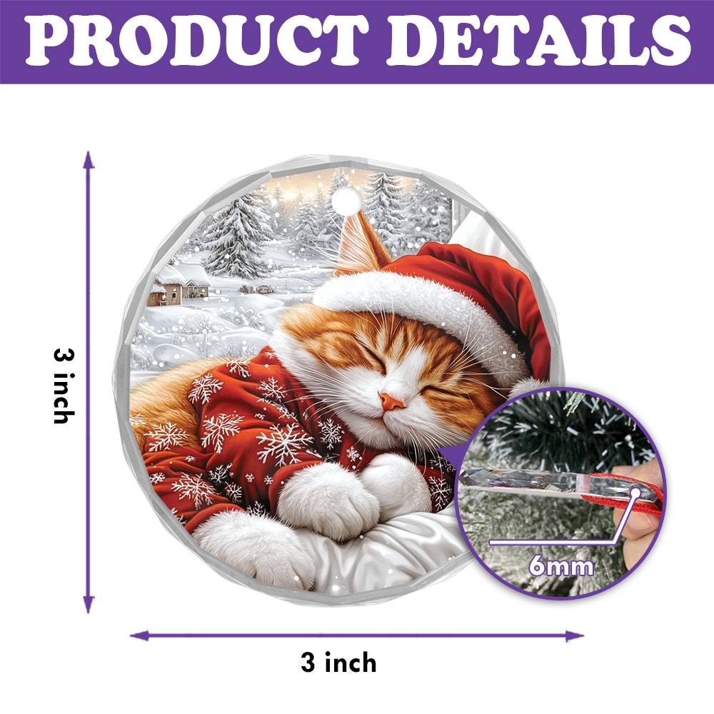 Ragdoll cat Sleeping In Bed Design 1