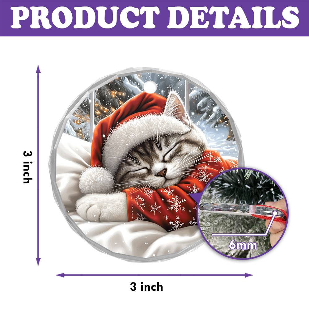 Siamese cat Sleeping In Bed Design 2