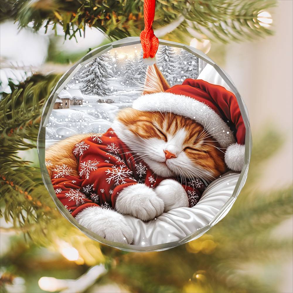 Ragdoll cat Sleeping In Bed Design 1