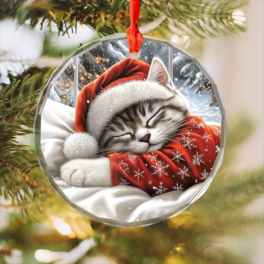 Siamese cat Sleeping In Bed Design 2