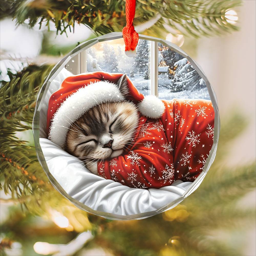 Siamese cat Sleeping In Bed Design 3