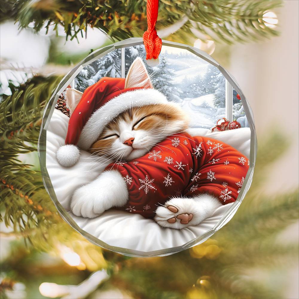 Ragdoll cat Sleeping In Bed Design 2