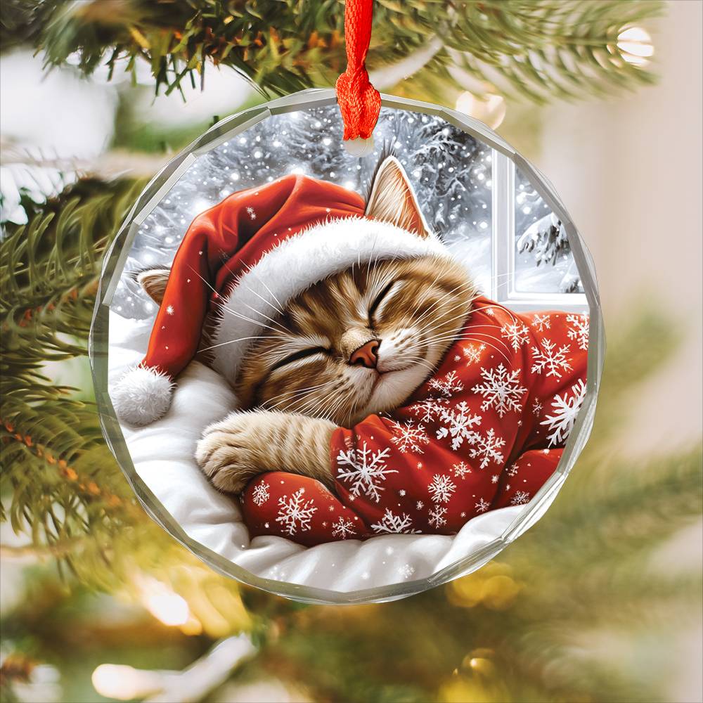 Siamese cat Sleeping In Bed Design 4