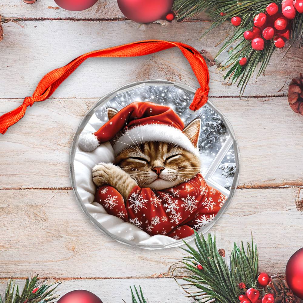 Siamese cat Sleeping In Bed Design 4