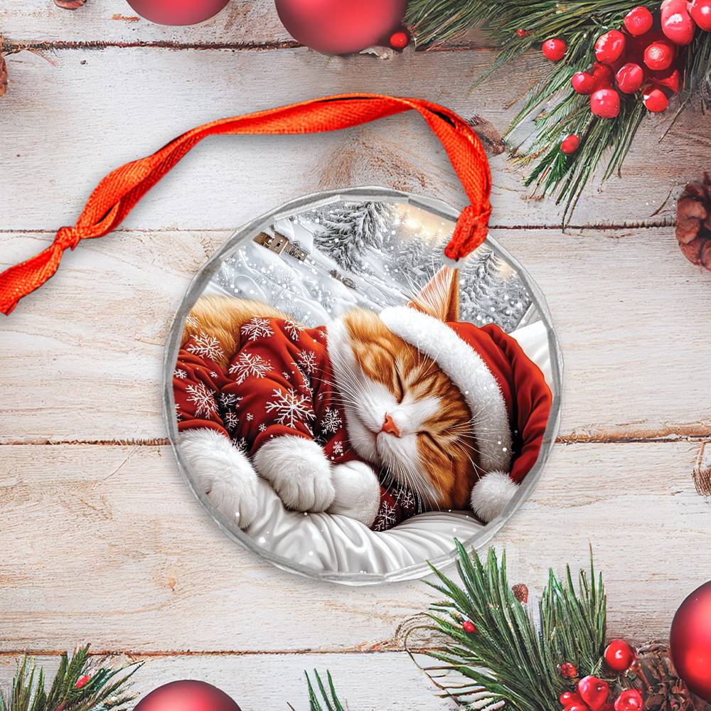 Ragdoll cat Sleeping In Bed Design 1