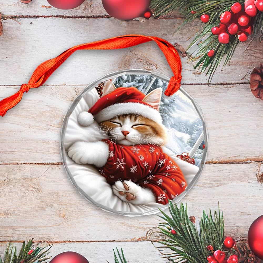 Ragdoll cat Sleeping In Bed Design 2