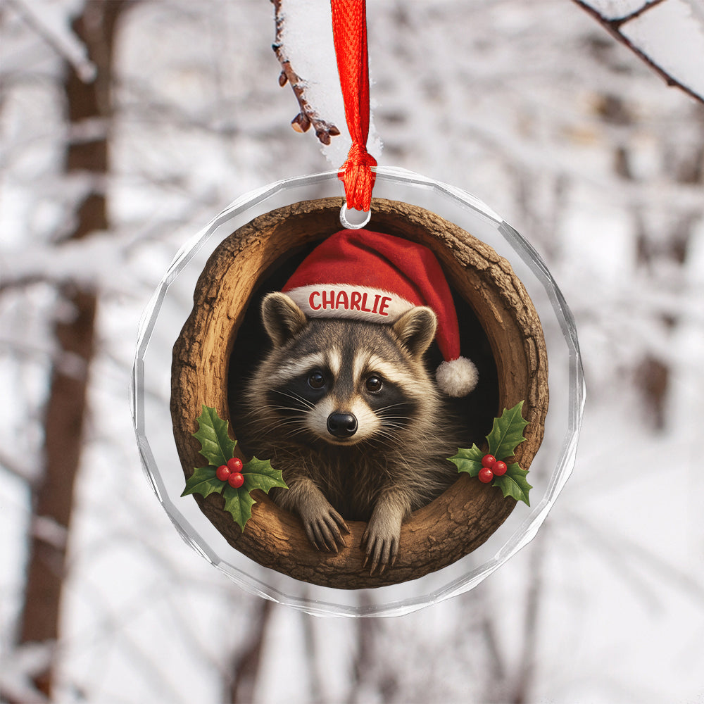 Custom Name Raccoon Xmas