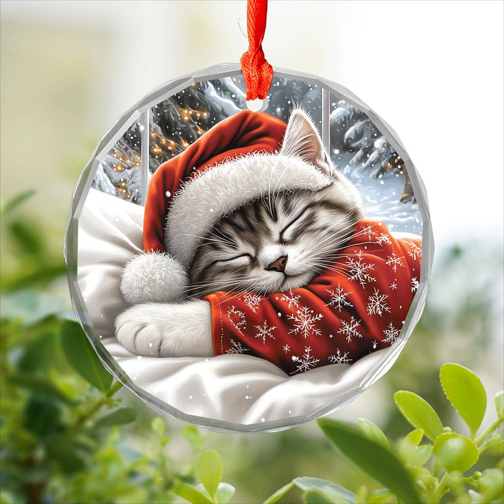 Siamese cat Sleeping In Bed Design 2