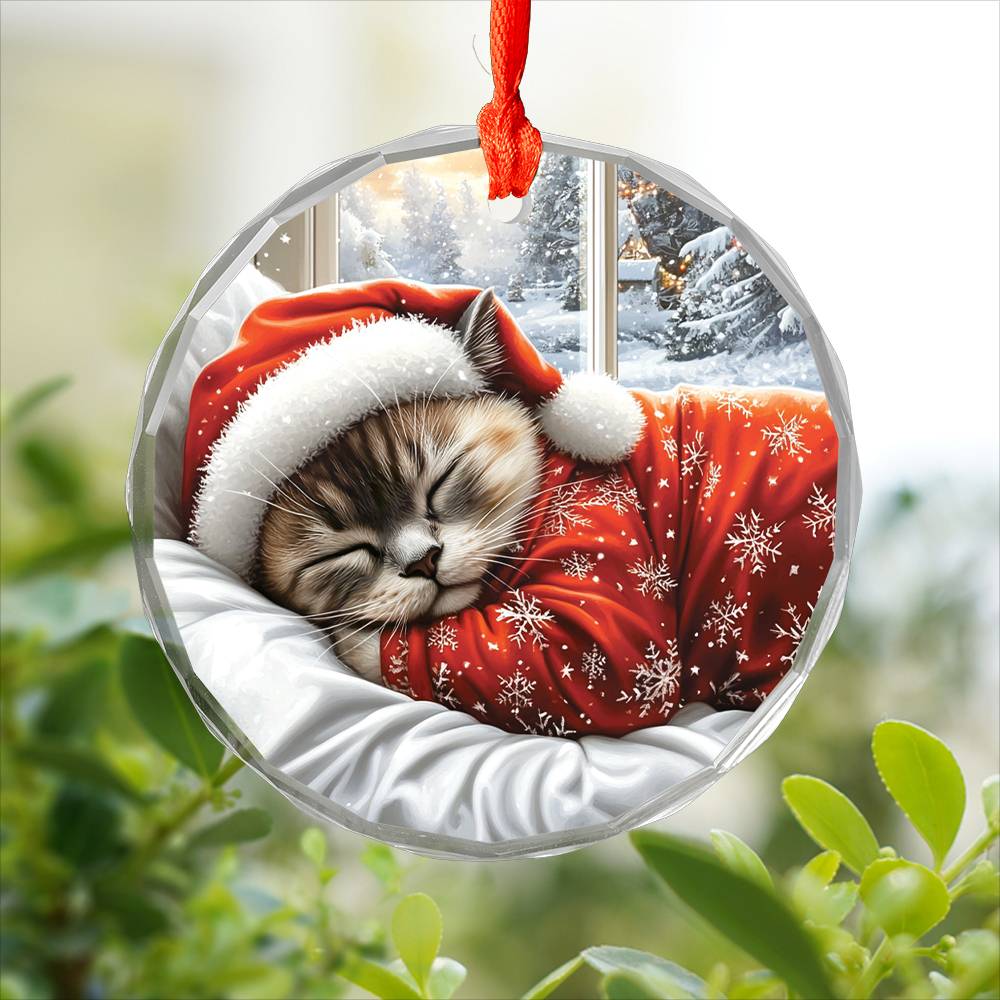 Siamese cat Sleeping In Bed Design 3