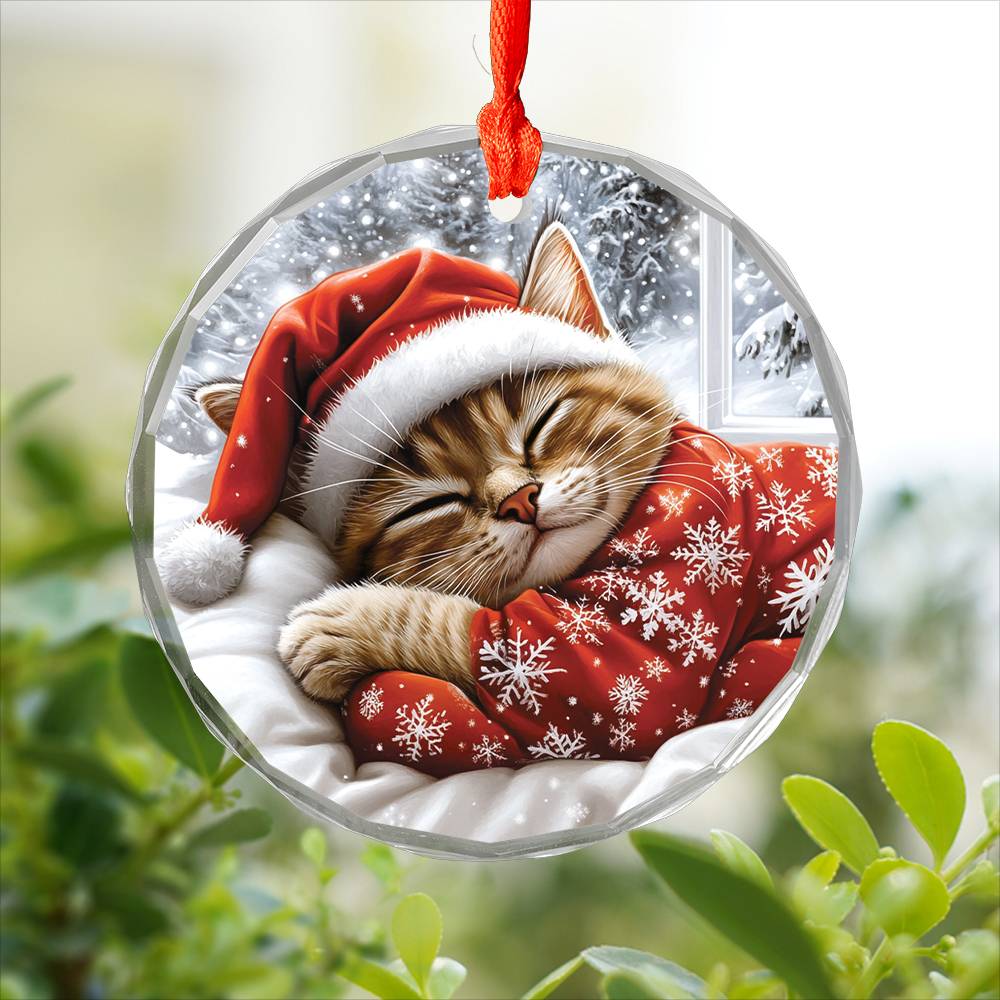 Siamese cat Sleeping In Bed Design 4