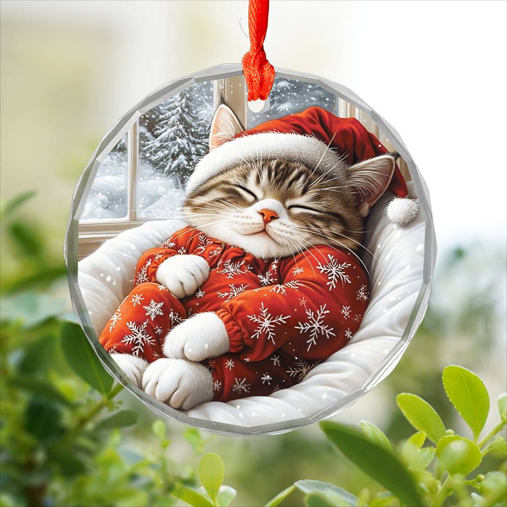 Siamese cat Sleeping In Bed Design 1