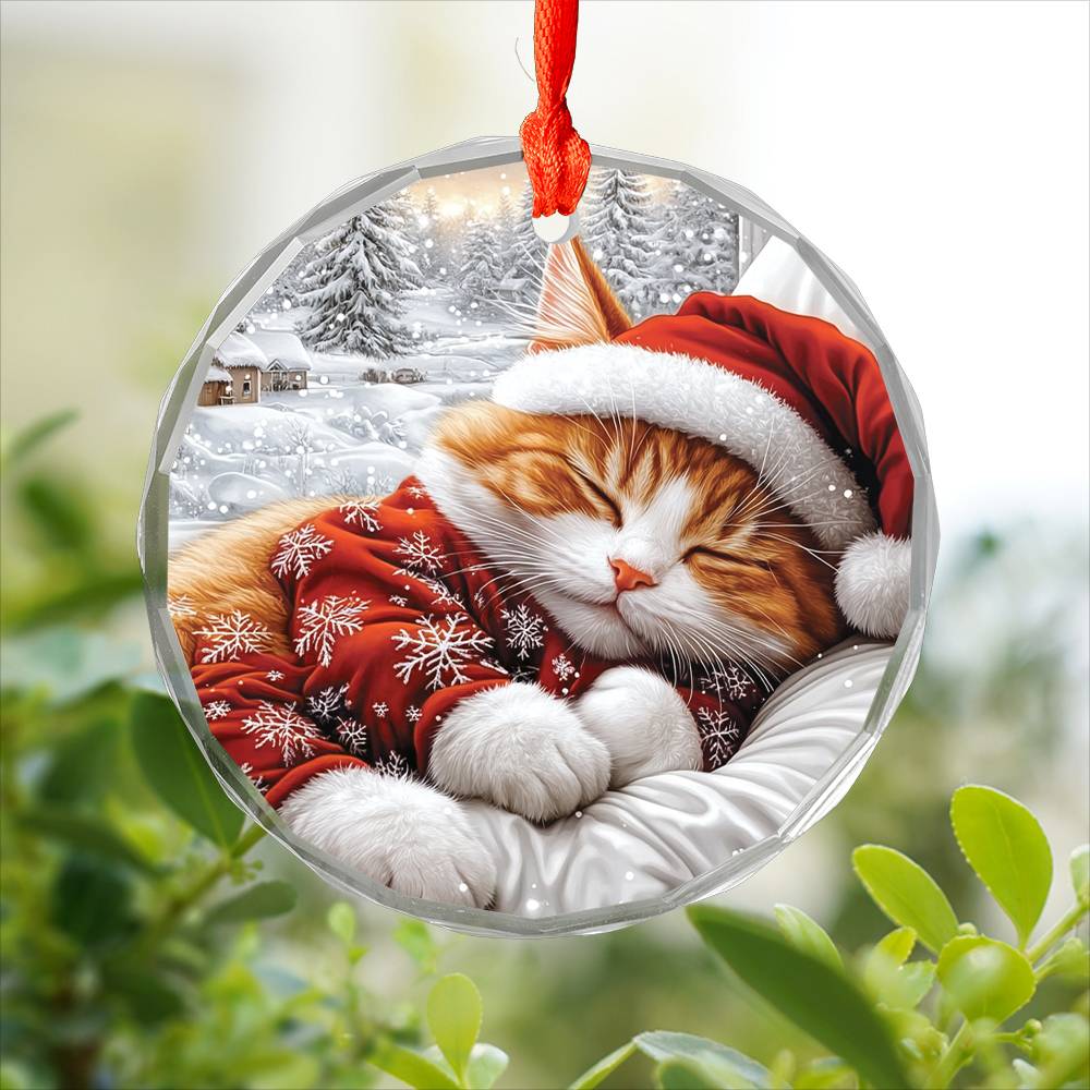 Ragdoll cat Sleeping In Bed Design 1