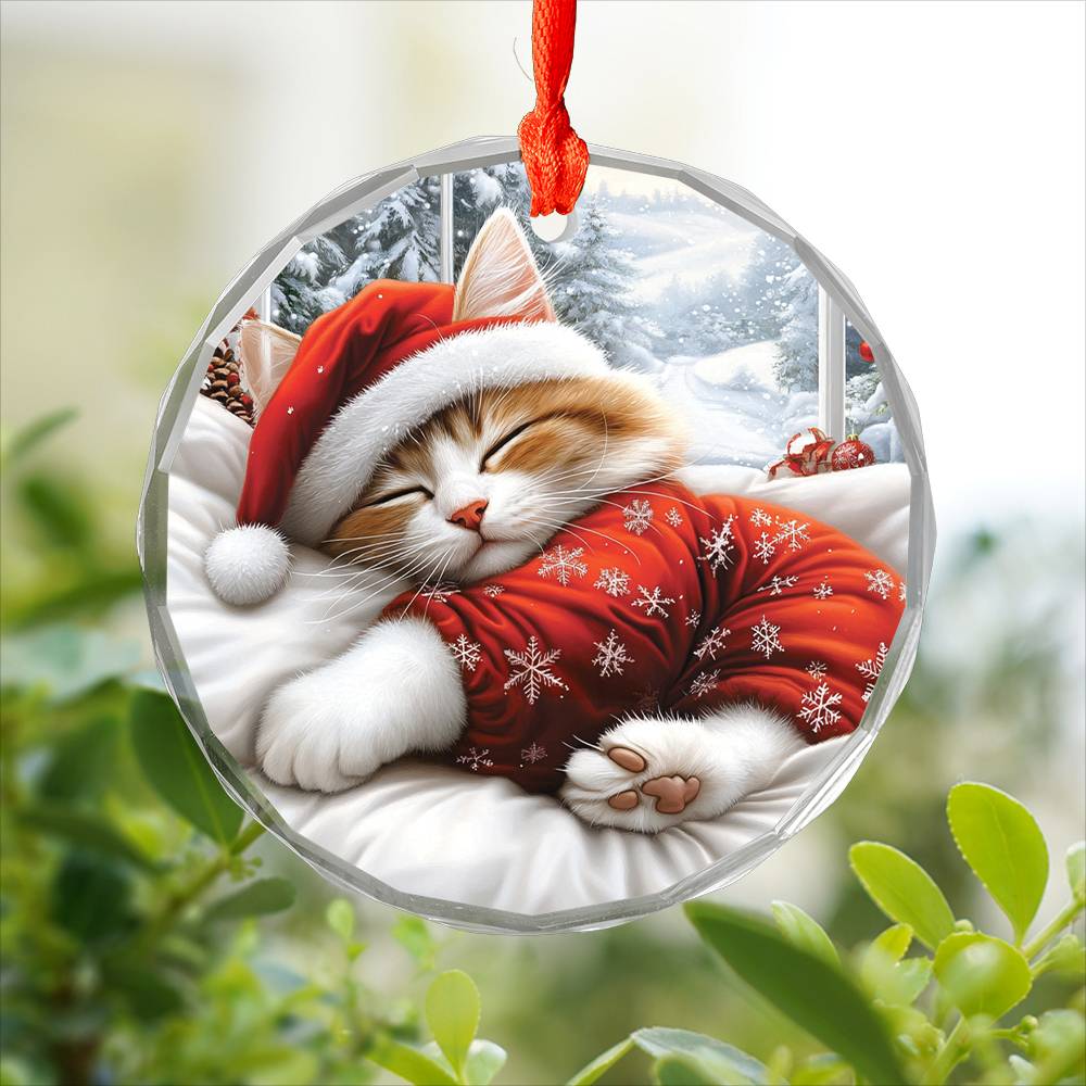 Ragdoll cat Sleeping In Bed Design 2