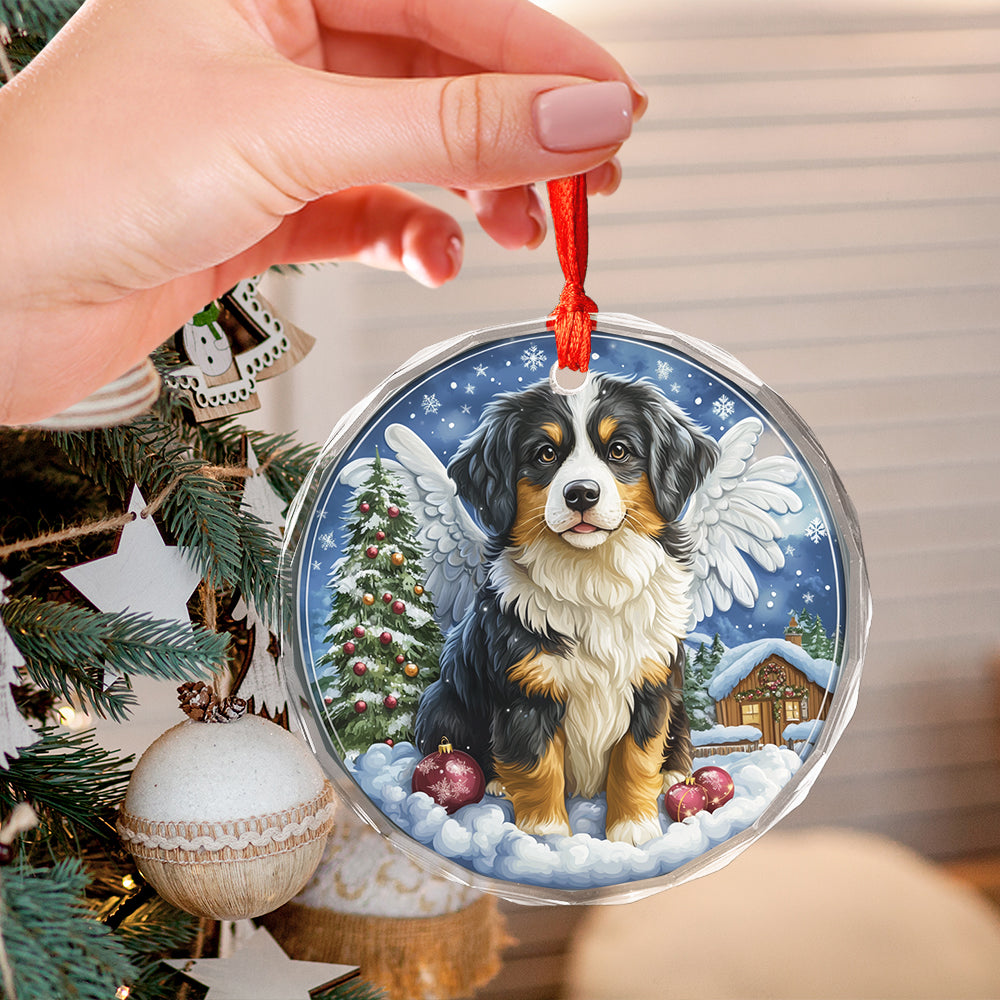 Angel Australian Shepherd Dog 4