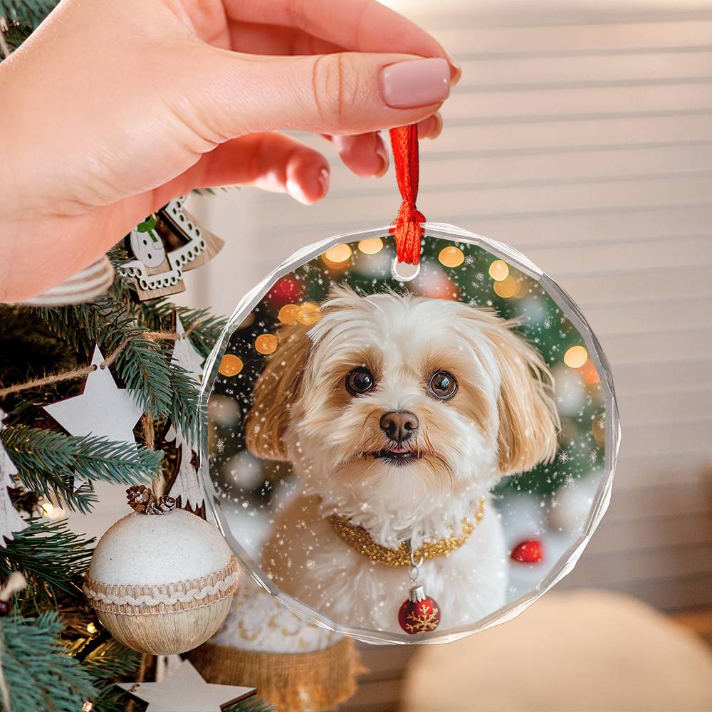 Beautiful Havanese Dog Christmas Night Design 4 Glass Ornament
