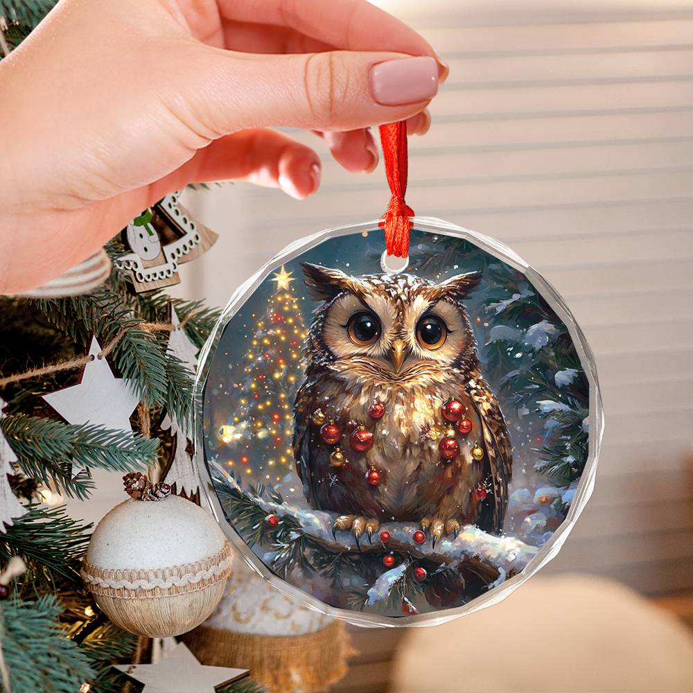 Beautiful Owl Christmas Night Design 4 Glass Ornament