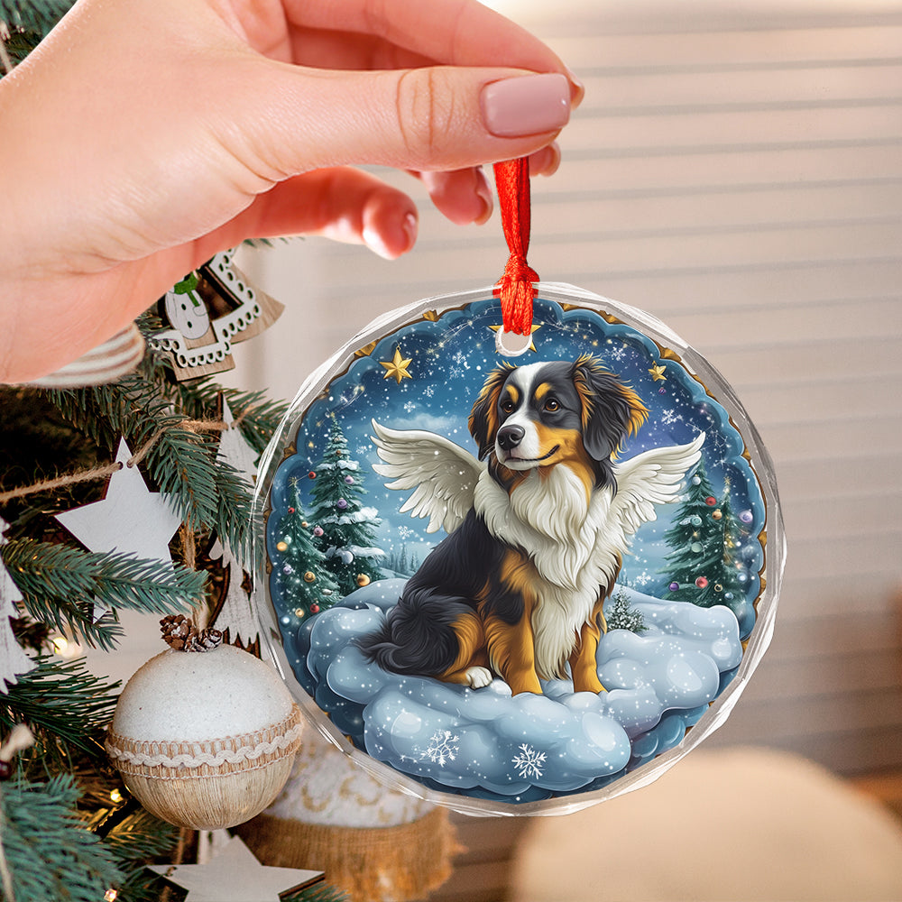 Angel Australian Shepherd Dog 1