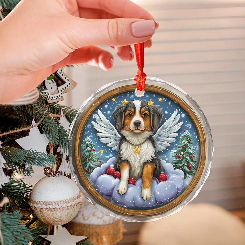 Angel Australian Shepherd Dog 3