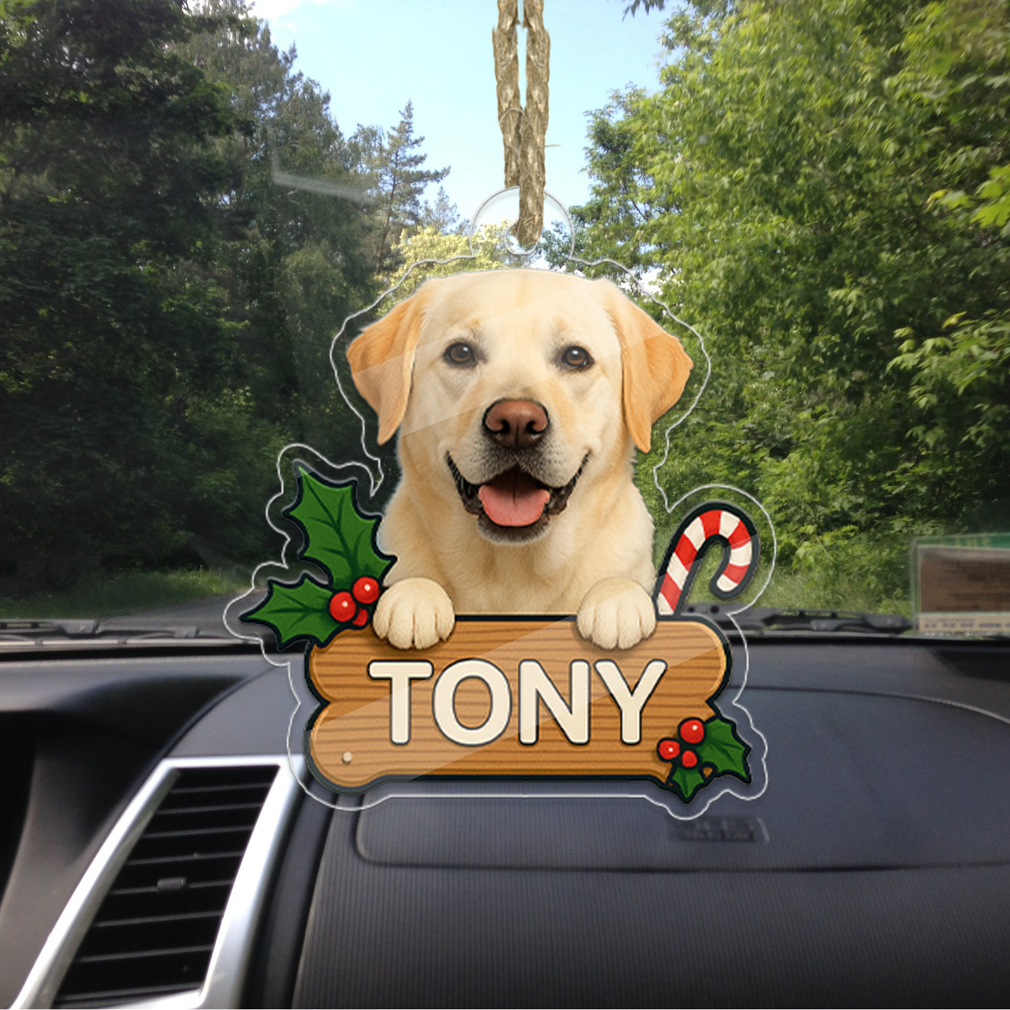 Personalized Pet Ornament, Custom Dog Christmas Ornament, Pet Ornament Using Photo, Cat Christmas Photo Ornament, Pet Portrait Name Gift
