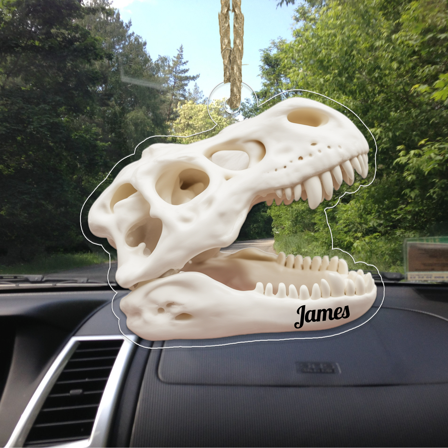 Personalized Fossil Ornament, Custom Name Dinosaur Fossil