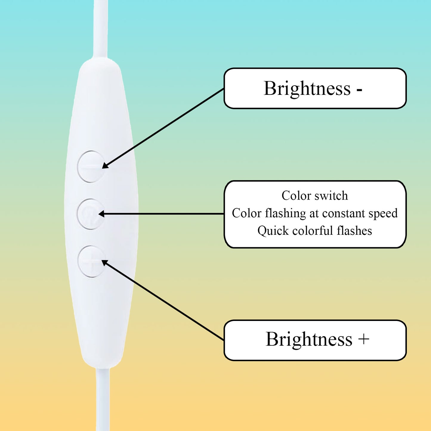 Custom Horse Portrait Night Light, Personalized Pet Lovers Gifts, Personalized Pet Memorial LED Night Light