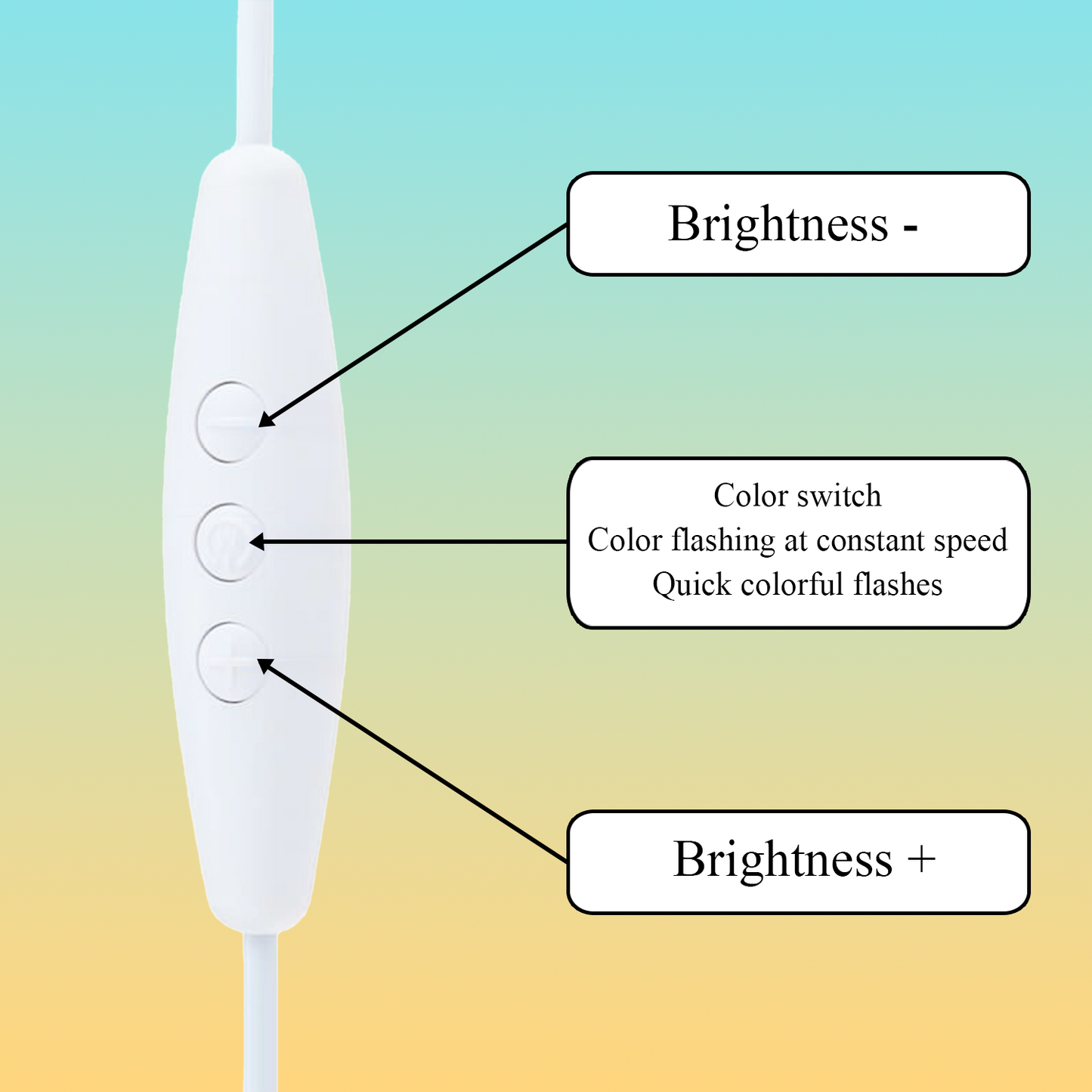 Custom Cat Portrait Night Light, Personalized Pet Lovers Gifts, Personalized Pet Memorial LED Night Light