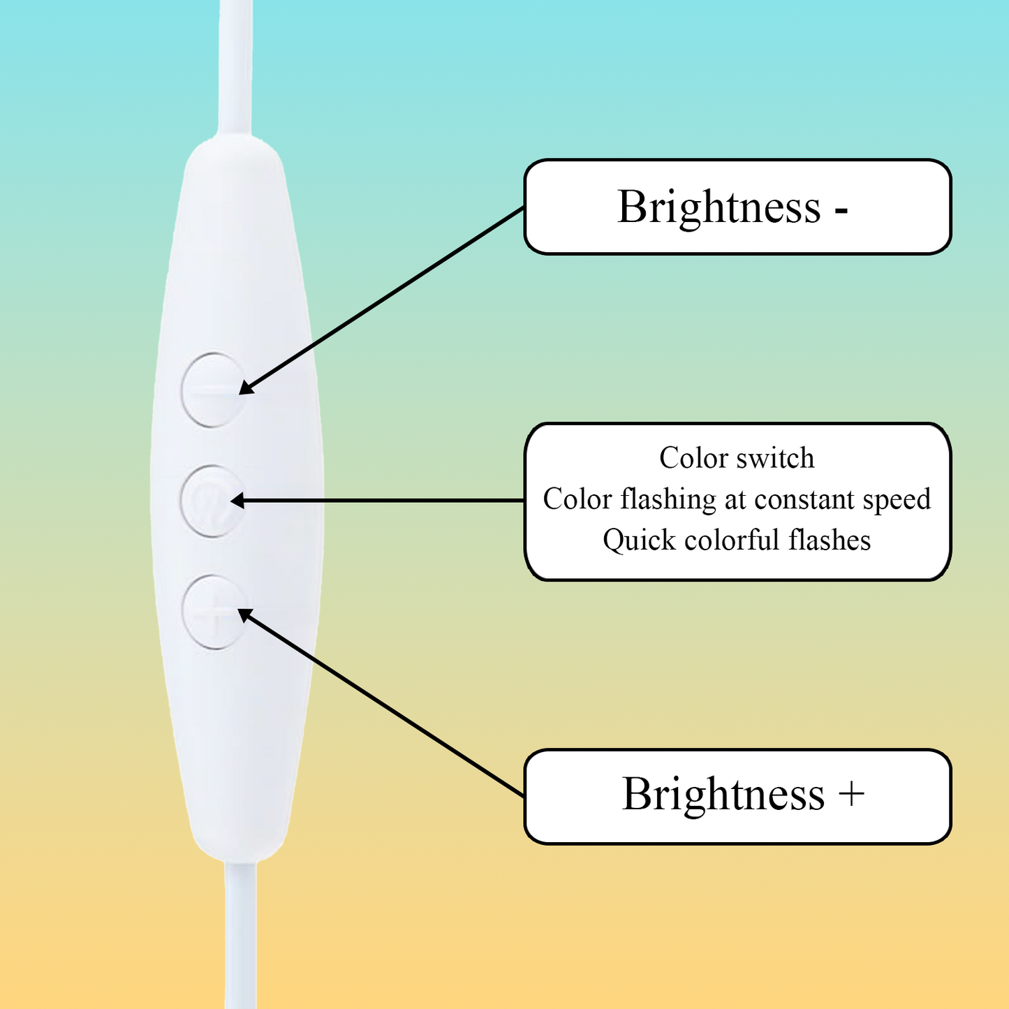 Custom Dog Portrait Night Light, Personalized Pet Lovers Gifts, Personalized Pet Memorial LED Night Light