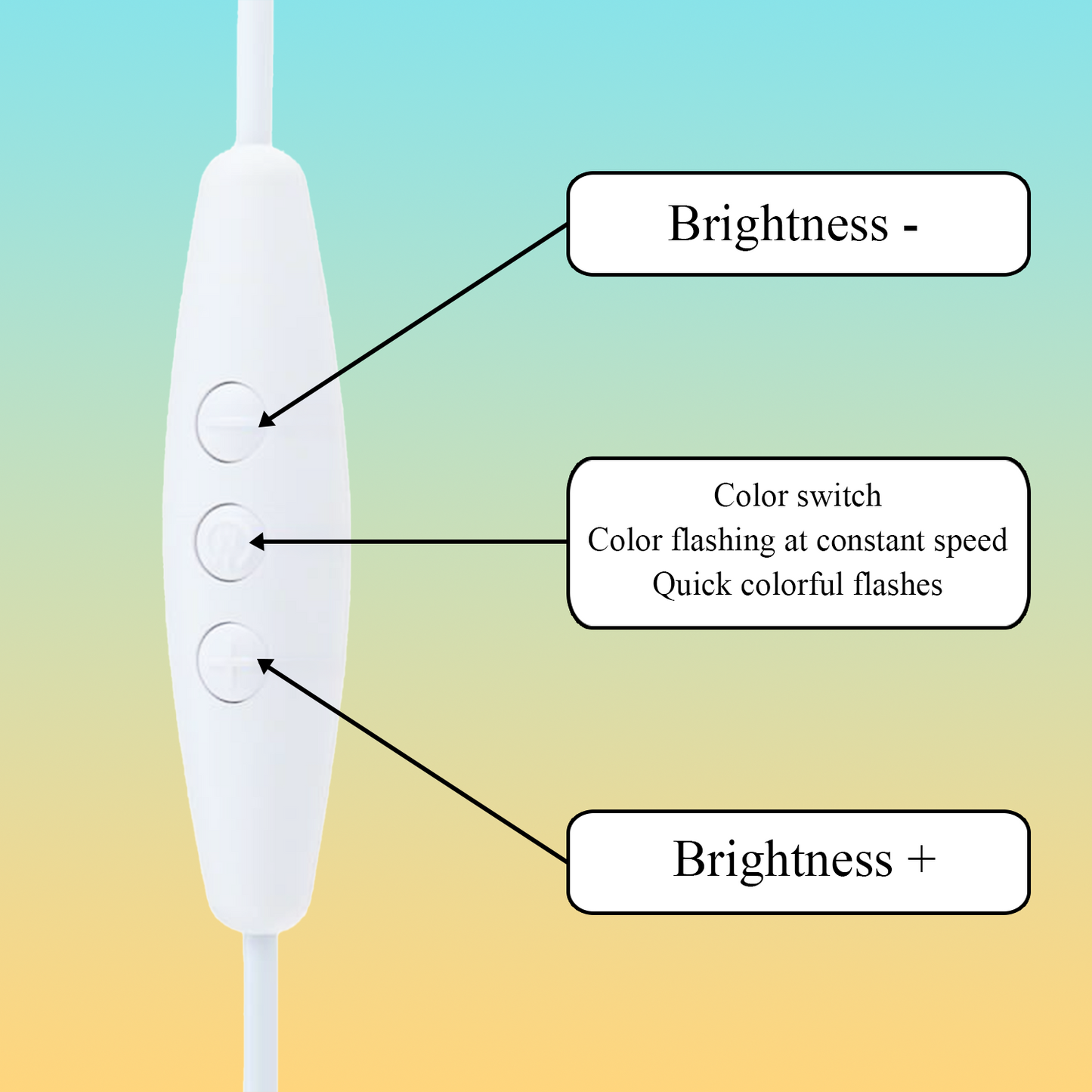 Custom Dog Portrait Night Light, Personalized Pet Lovers Gifts, Personalized Pet Memorial LED Night Light