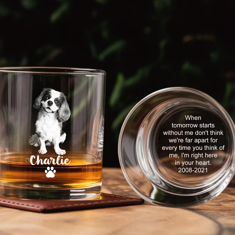 Custom Photo Pet Memorial Whiskey Glass, Personalized Gifts for Pet Loss, Sympathy Gift for Cat, Dog TNG203